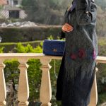 خرید مانتو پنلی